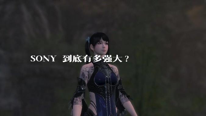 SONY 到底有多强大?